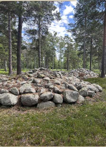 Stensättningar omslutna av gotländsk tallskog vid Trullhalsar